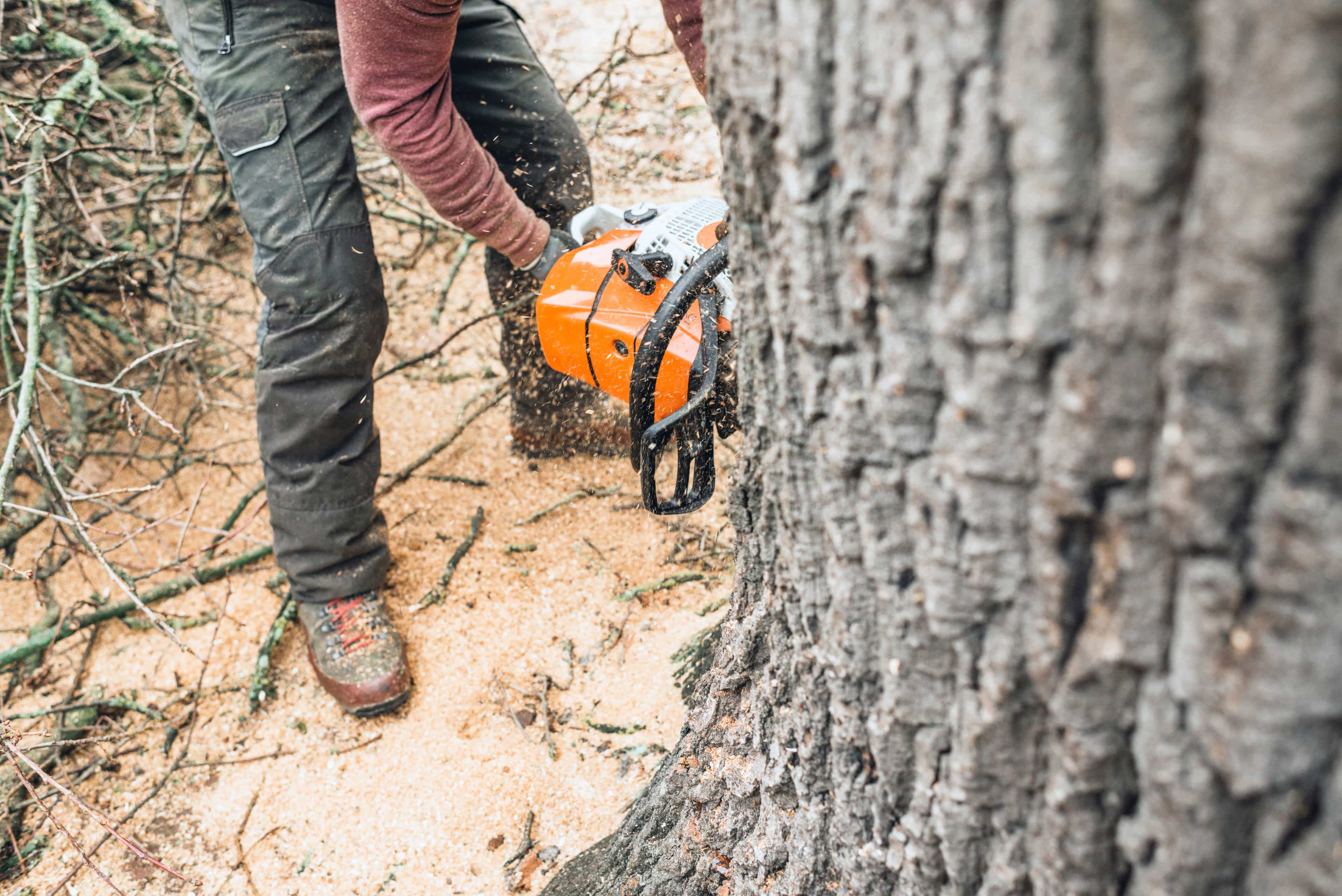 Hero image for 30A Tree Service & Removal